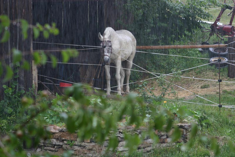 eine dusche